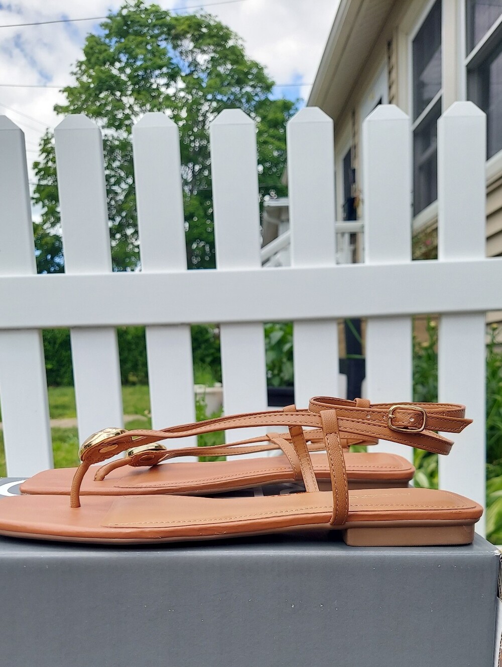 Arezzo Salto Rasteiro Brown Leather Thong Strappy Sandals Women Size 8 NWT Beach